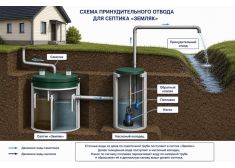 Спарта 1000 Плюс